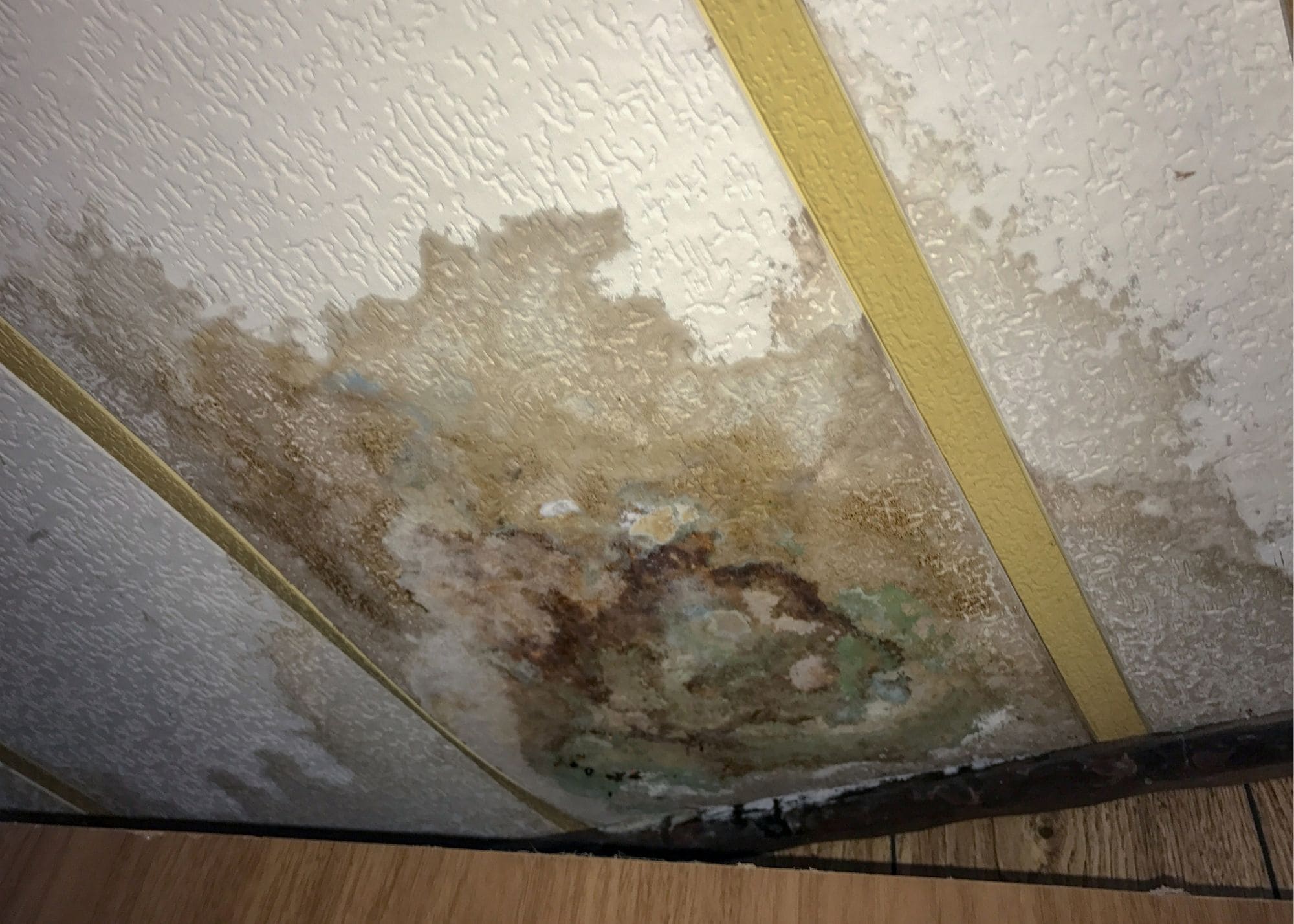 Brookes Water Damage Experts