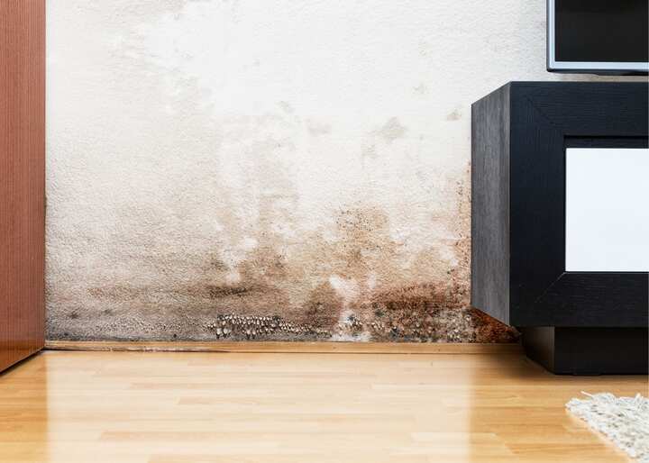water damage restoration brooklyn