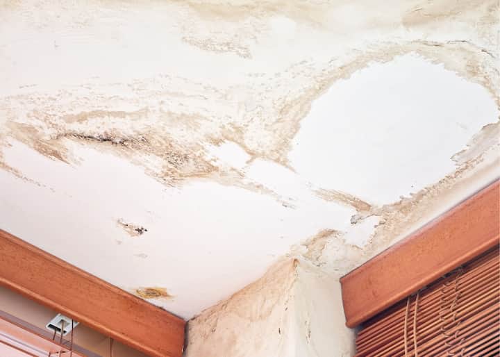 water damage restoration brooklyn