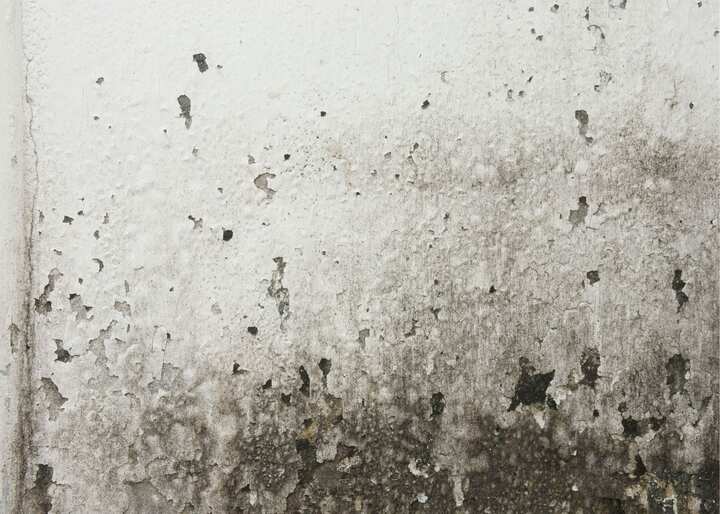 water damage restoration brooklyn